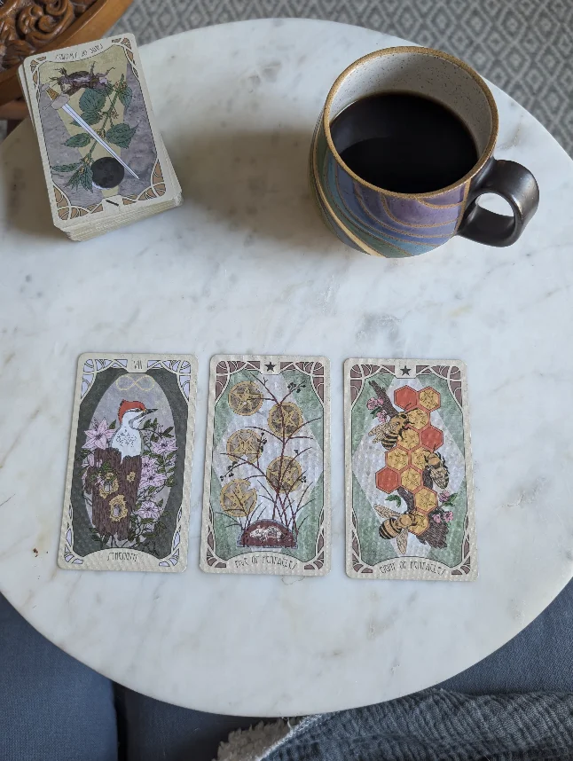 Michal, ready to chat over tea and cards